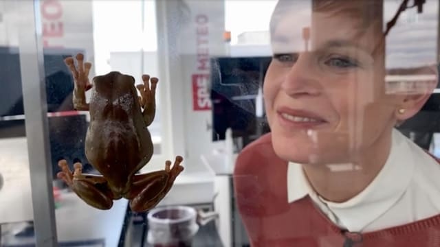 Sandra Boner beobachtet einen Frosch an der Scheibe