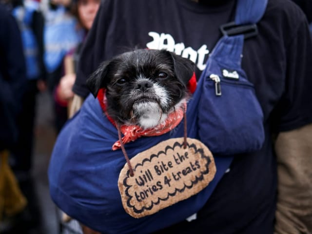 Ein Mann trägt einen Hund im Rucksack.