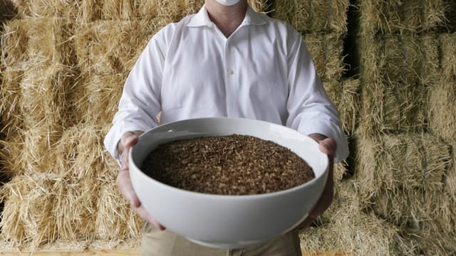 Ein Mann hält eine Schale mit Humus in der Hand. 