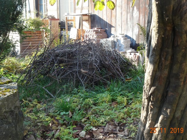 Asthaufen in einem Garten