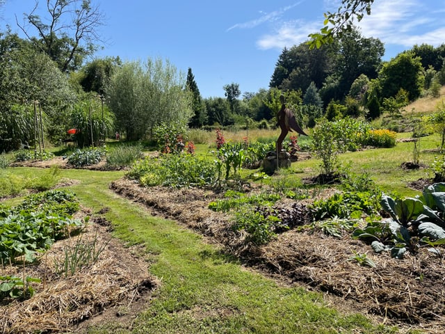 Der Garten von Fred Perritaz. 