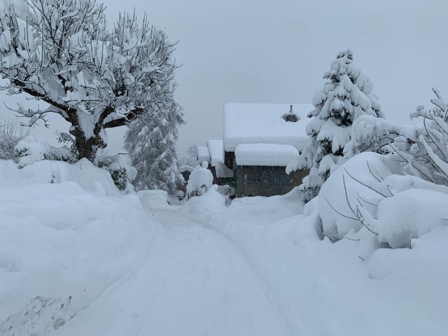 Snow in Malans