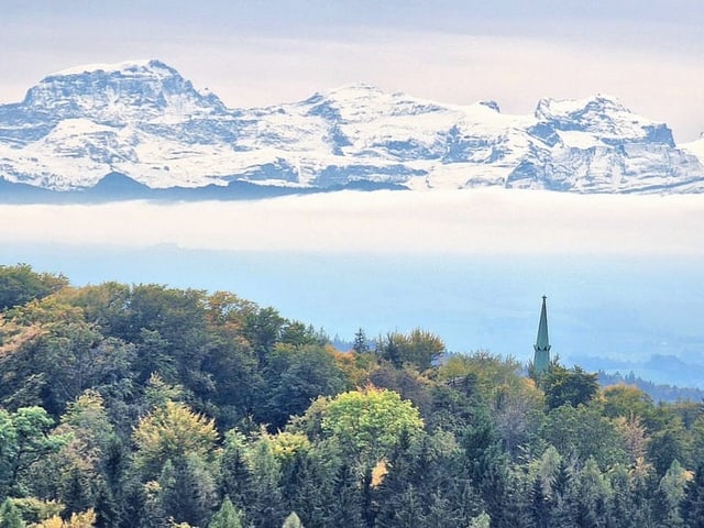 Wald mit Kirchturm, schneebedeckte Berge im Hintergrund.