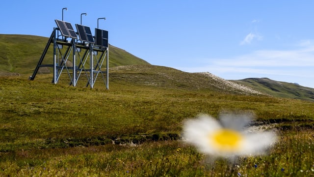 Testsolaranlage im Wallis auf einer Wiese