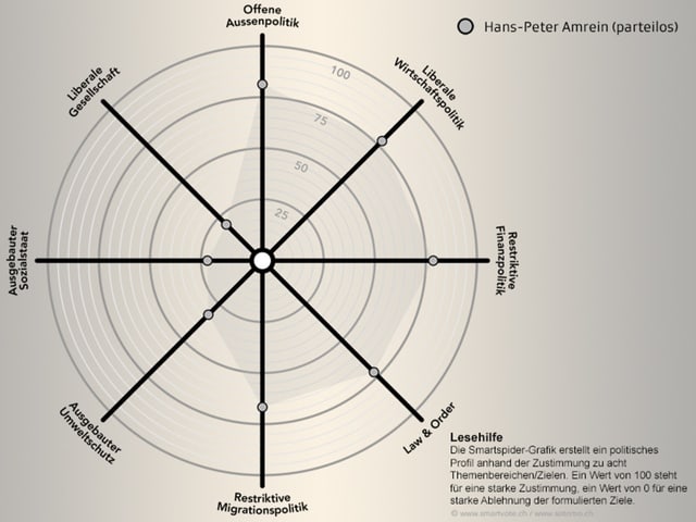 Spidergrafik von Hans-Peter Amrein