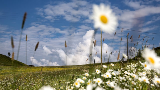 Wirtschaft Wachstum Im Spiegel Der Wohlfahrt Ein Neuer Blick