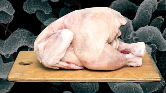 Rohes Poulet auf einem Holzbrett. Dahinter lauern Campylobacter-Bakterien.