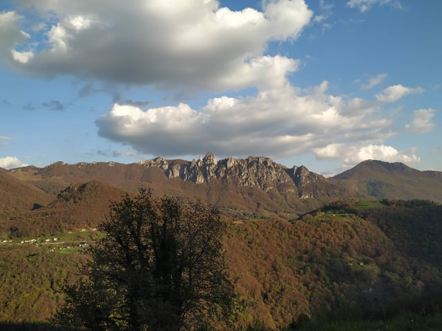 Bergkette erhebt sich aus dem Wald.