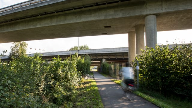 Auf dem Uferweg entlang der Reuss in Emmen wurde die Frau vom Velo gerissen und vergewaltigt. 