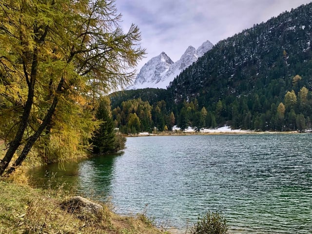 Bergsee mit Bäumen und schneebedeckten Gipfeln im Hintergrund.