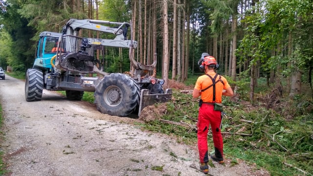 Mann in oranger Kleidung steht vor Bagger im Wald.