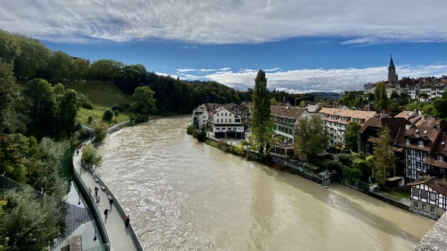 Greyish brown, the Aare runs through Bern with trunks and branches.