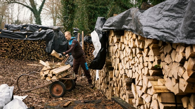 Zivi sammelt Holz.