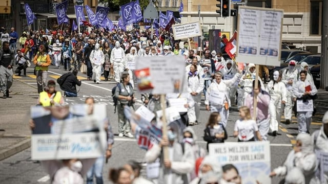 Demonstrantinnen und Demonstranten auf der Strasse mit Schildern. 