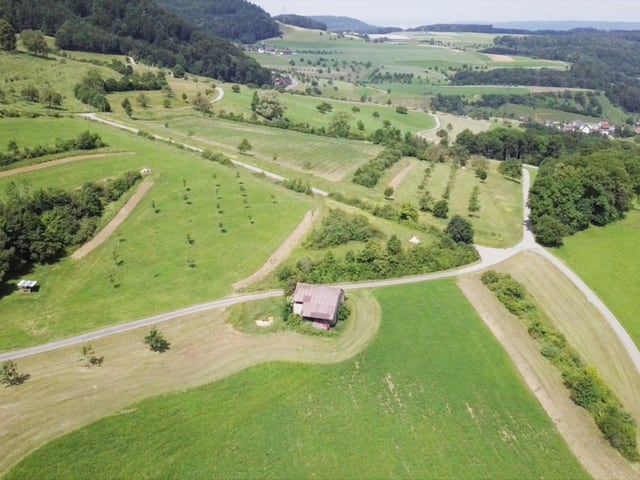 Obstgarten Farnsberg