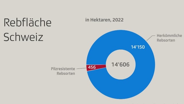 Kreisdiagram, Hektaren Rebfläche mit pilzresistenten Sorten versus herkömmliche Rebsorten