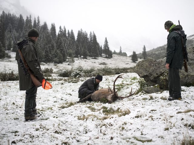 Drei Jäger stehen rund um einen erlegten Hirsch. 