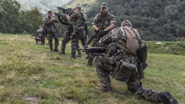 Soldaten in Tarnkleidung führen eine Übung im Freien durch.