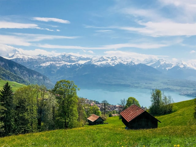 Bauernhäuser über dem See. Dem Thunersee.