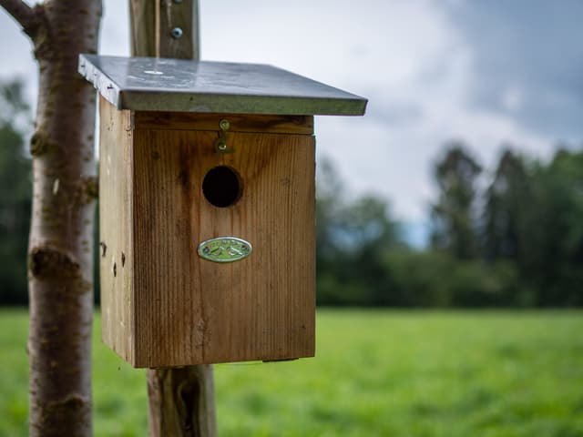 Vogelhäuschen