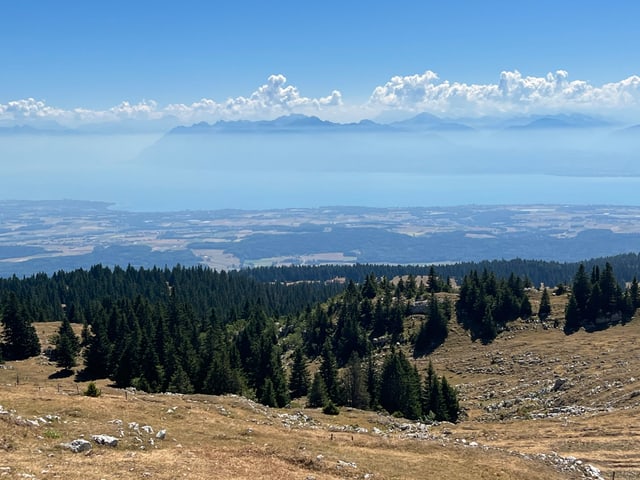 Trockene Wiesen im Vordergrund, Genfersee im Hintergrund.