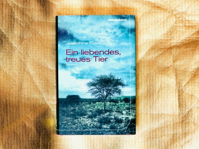 Der Roman «Ein liebendes, treues Tier» von Josephine Rowe vor goldigem Hintergrund