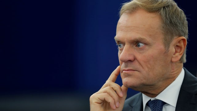 Tusk enst schauend.