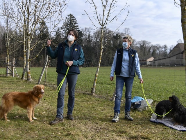 Zwei Frauen mit je einem Hund an der Leine. 