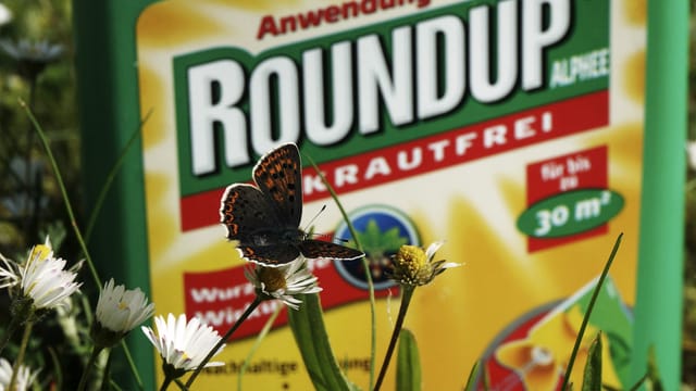 Schmetterling vor einer «Roundup»-Plastikflasche. In der Schweiz sind nur noch Restbestände dieses Herbizids erhältlich.