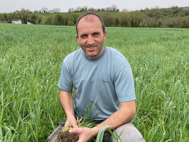 Mann kniet in einem grünen Feld und hält Erde in den Händen.