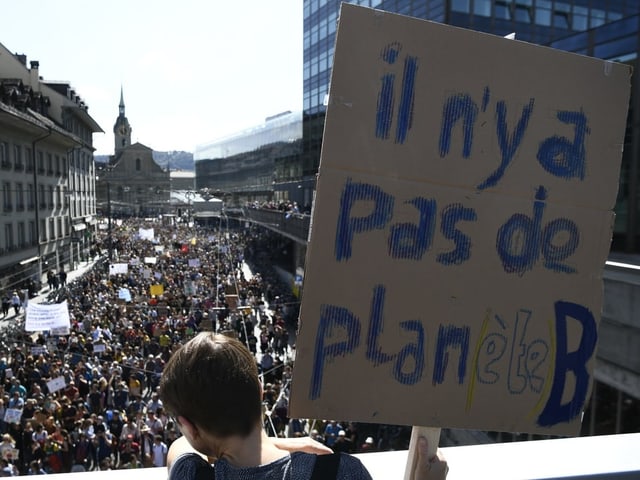 Kind mit Transparent blickt auf Demonstrationszug.