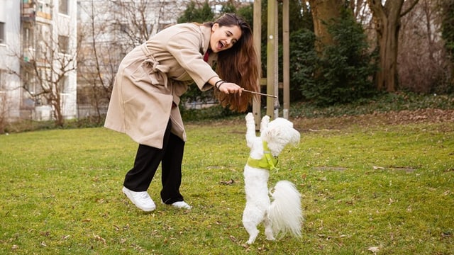 Eine junge Frau mit braunem Mantel spielt auf einem Rasen mit einem Hund mit weissem Fell.