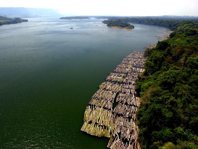 Holzstämme schwimmen im Fluss.