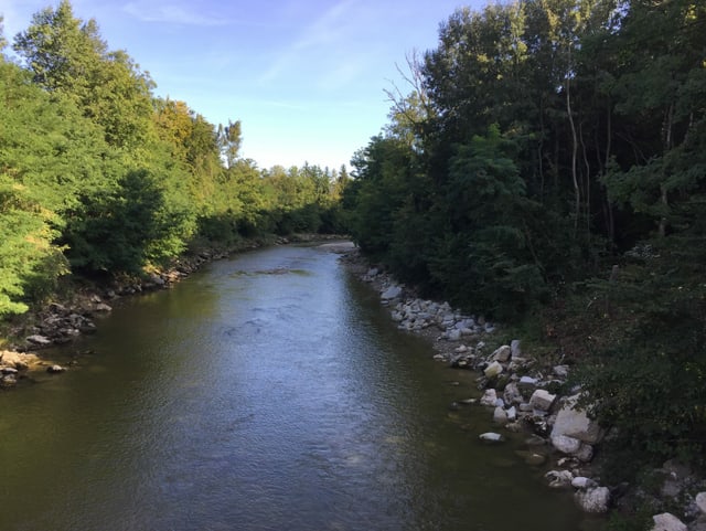 Fluss fleisst durch Wald.