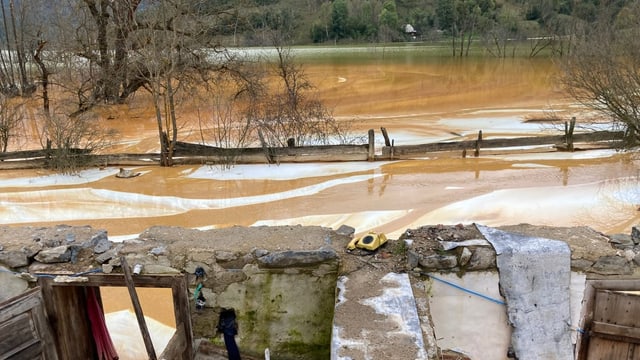 Braune Bäume und einzelne Hauswände auf dem ein gelbes Telefon steht ragen aus braunem Wasser.