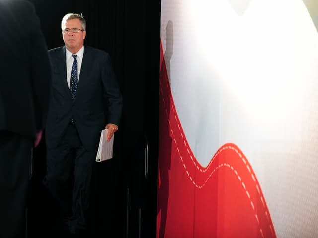 Jeb Bush