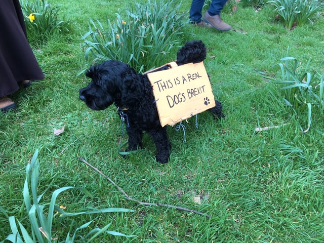 Hund mit Schild