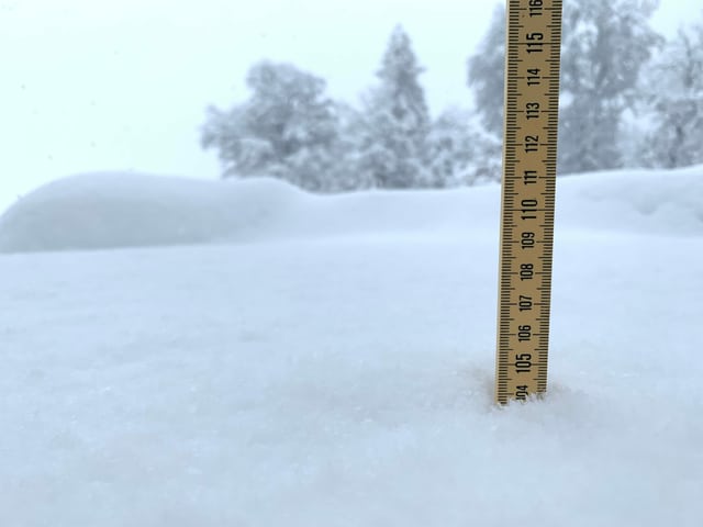 Tape measure in the snow