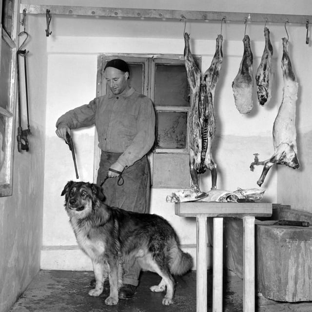 Ein Metzger tötet einen Hund auf einem alten Schwarz-weiss-Foto.