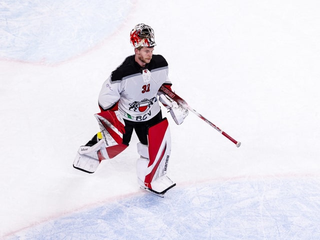 Eishockey-Torwart auf dem Eis.