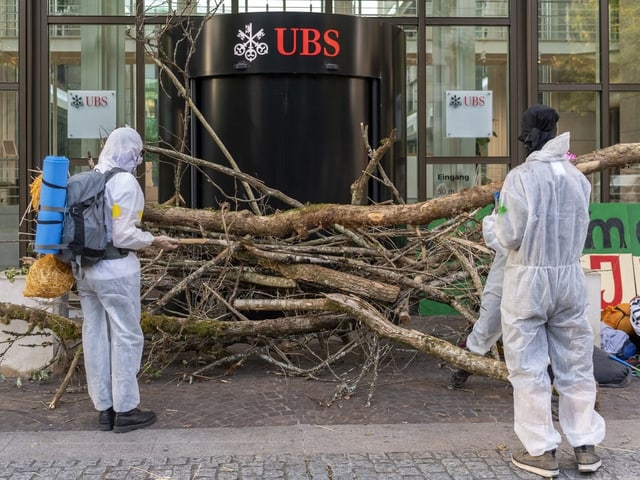 Bäume vor dem Aeschenplatz in Basel.