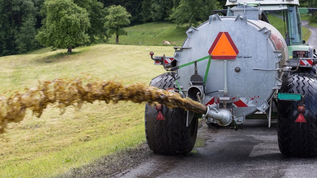 Traktor zieht Güllefass und schiesst Gülle auf Feld