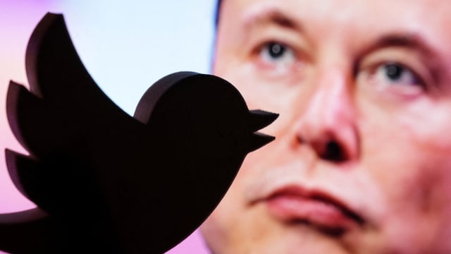 Illustration von Elon Musk mit Twitter-Logo.