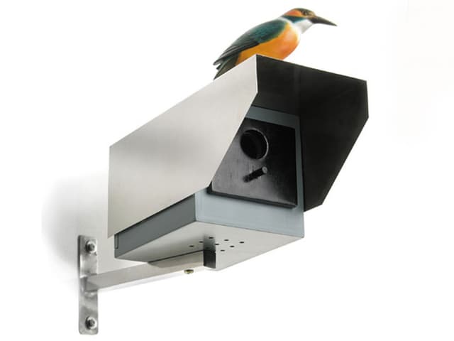 Vogelhaus BigBrother'