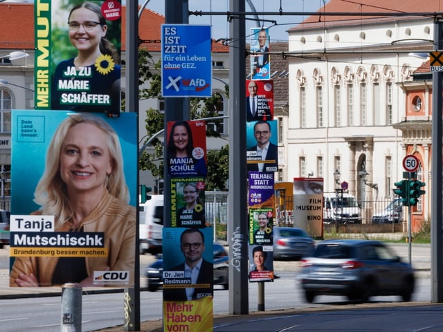 Wahlplakate mehrerer Parteien an Laternenmasten an einer Strasse in Potsdam.