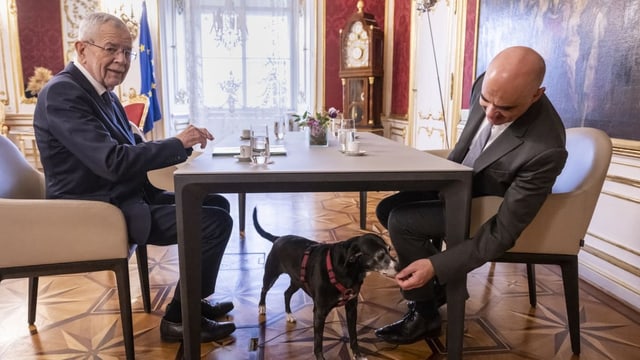 Zwei Männer sitzen an einem Tisch. Mann rechts krault einen schwarzen Hund, der unter dem Tisch steht.