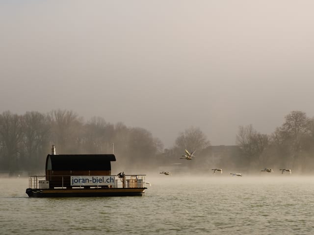 Eine schwimmende Holztonne im Nebel.