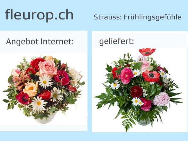 Vergleich Blumensträusse Angebot und tatsächliche LIeferung.