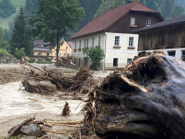 Im Vordergrund liegt ein umgestürzter Baumstrunk, dahinter befinden sich einige ältere Häuser, die unter Wasser stehen.