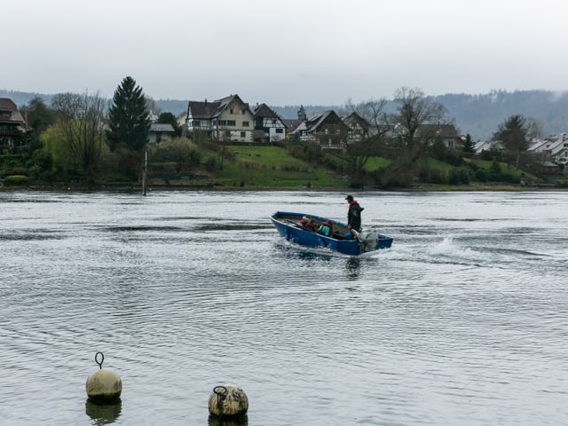 Fahrt im Boot auf dem Rhein